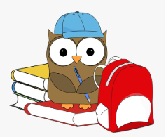 owl with a book